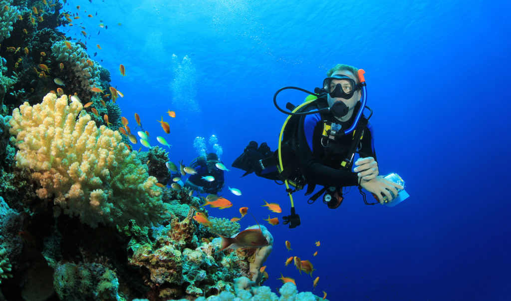 Scuba Diver explores Coral Reef in Tropical Sea