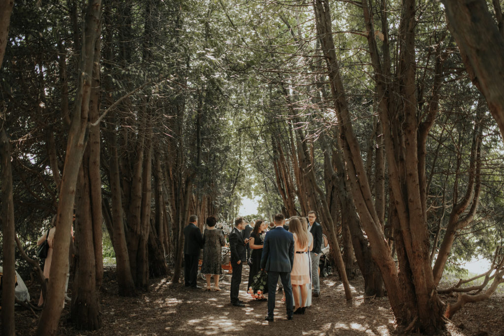 S   K_weddings-3507