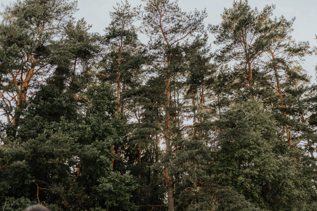 S   K_weddings-4693