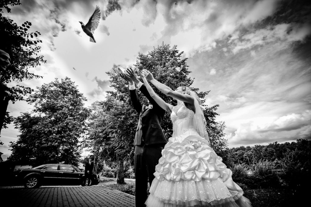 Kāzu fotogrāfs - Hochzeitsfotograf - Wedding photographer - Photographe de Mariage - Fotografo di Matrimonio