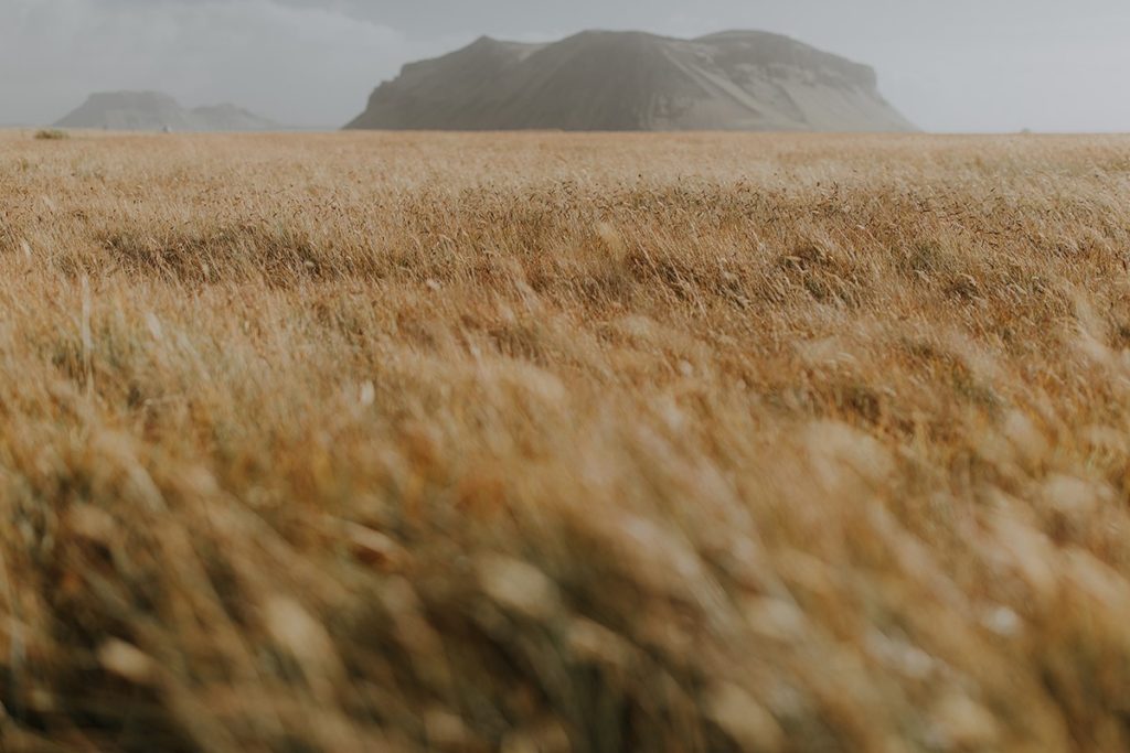 ICELAND_by_linda_lauva-0103