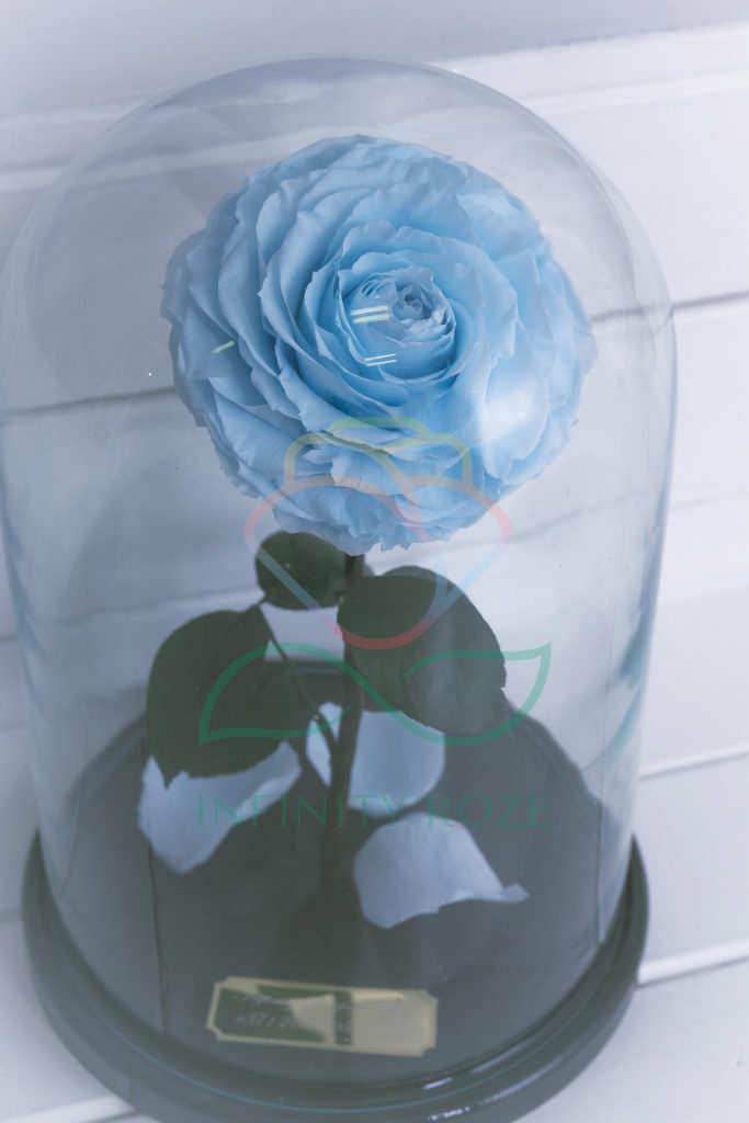 E1D31182-0DF1-45DA-BF55-3ED0CB15180D