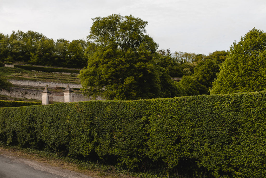 MG_0020-1