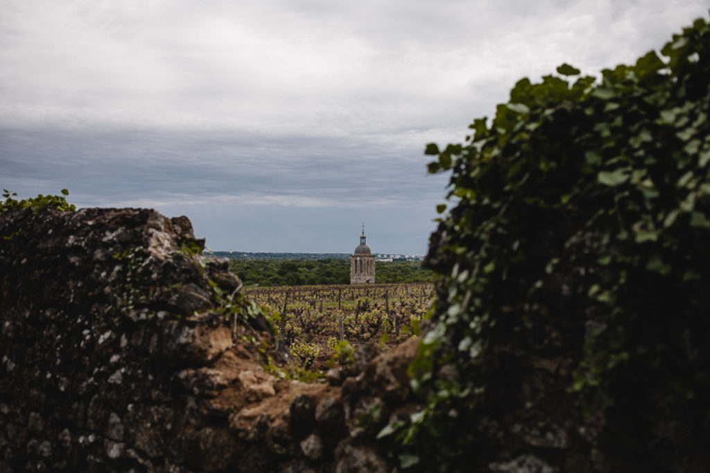 MG_0064-1
