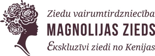 MZ_logo_ZieduVairumtirdznieciba-500x181
