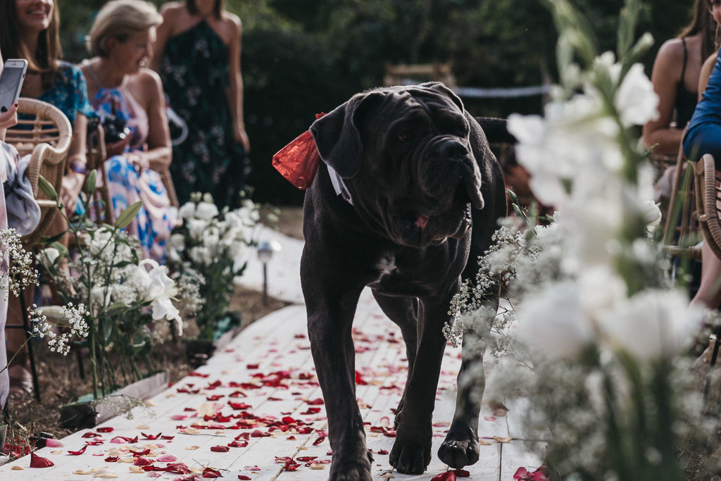 Miami-themed-wedding-151