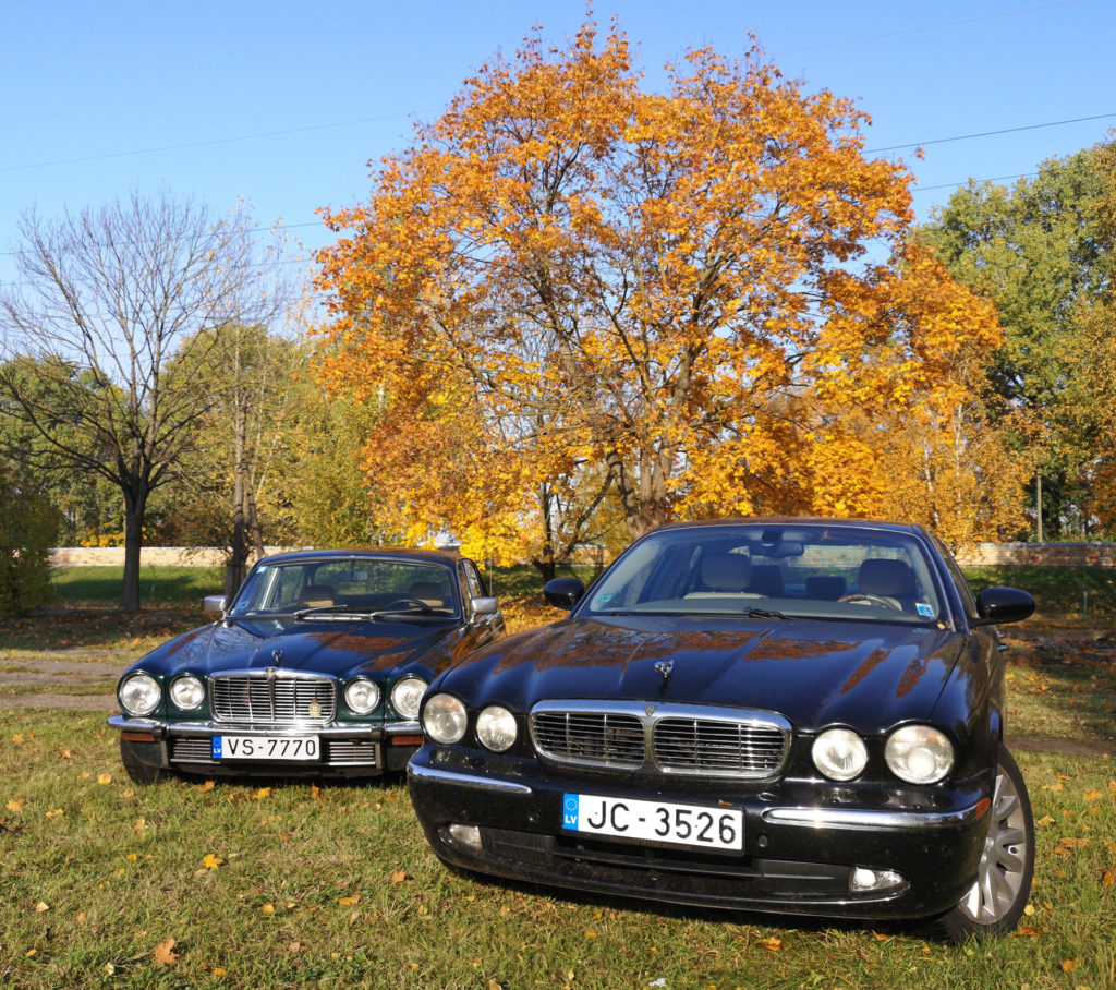 11_Jaguar XJ8 un XJ6