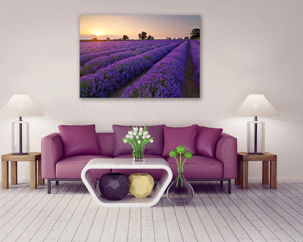 lavender