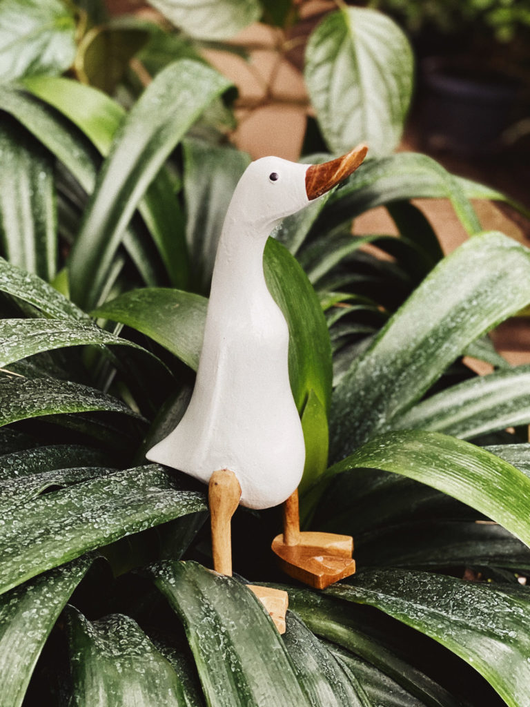Processed with VSCO with kp5 preset