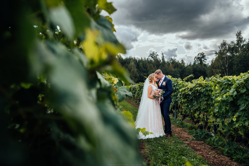valters_pelns_foto_web-001