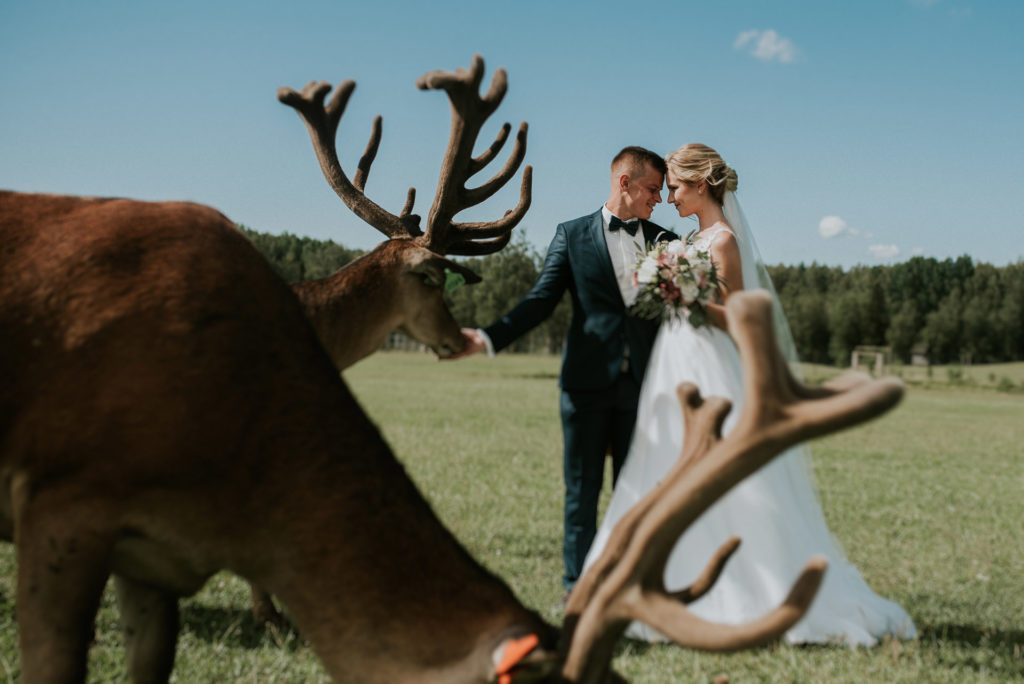 wedding-0185