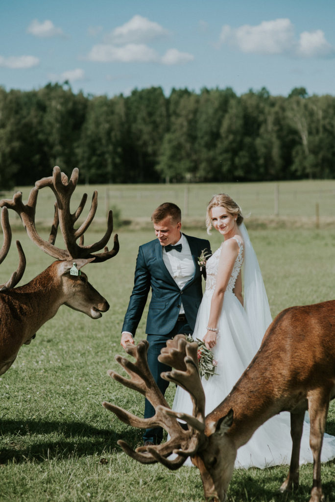 wedding-0186