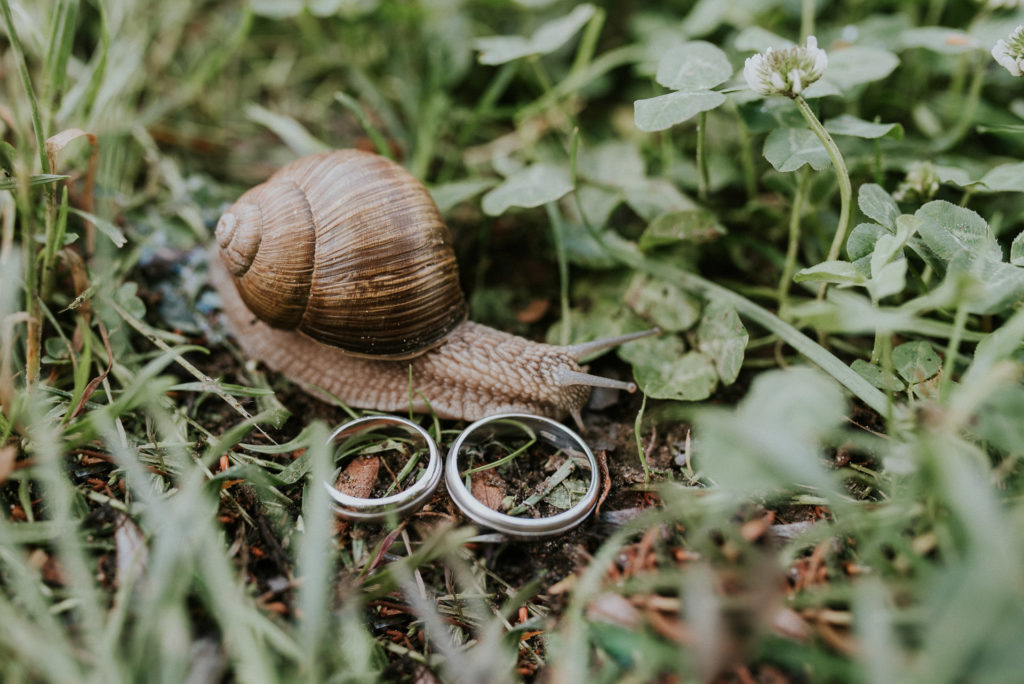 wedding-0261