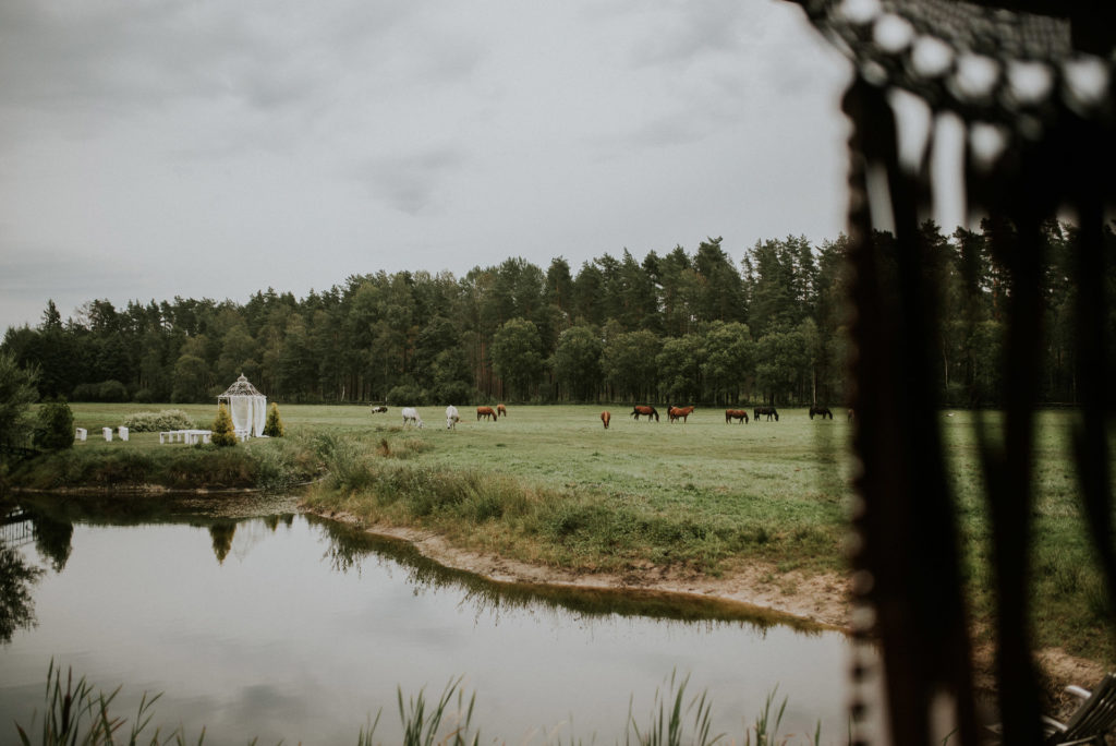 wedding-0840