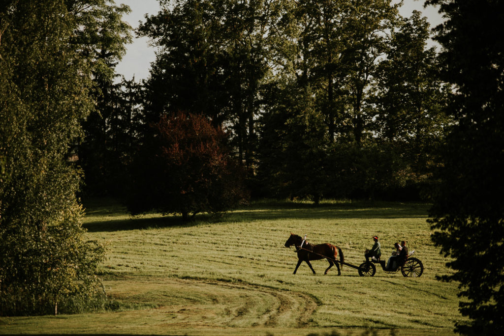 wedding-0976