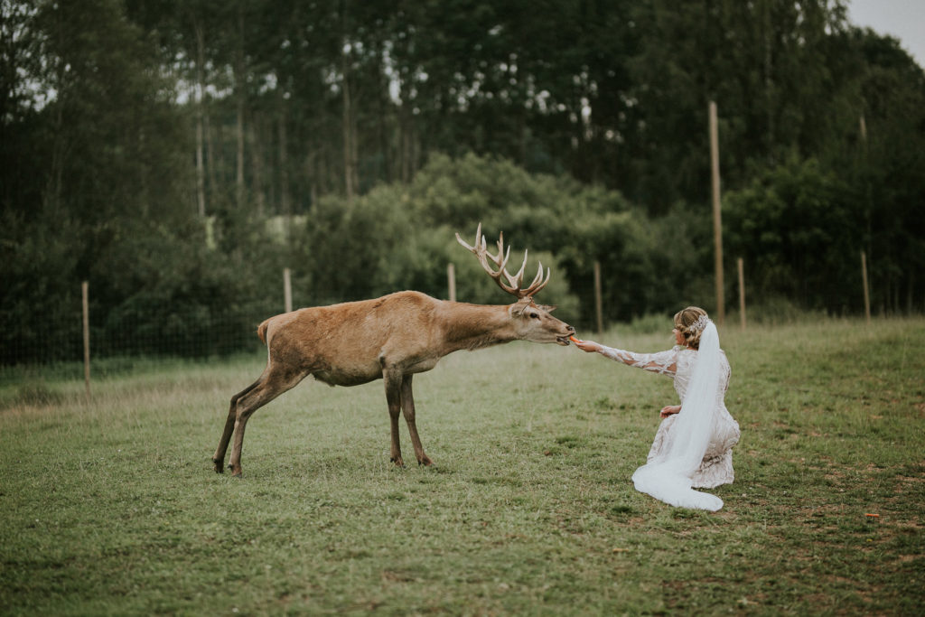 wedding-1066