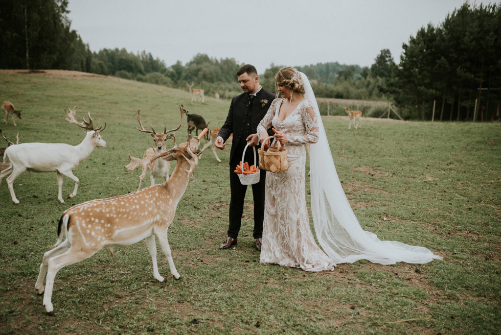 wedding-1067