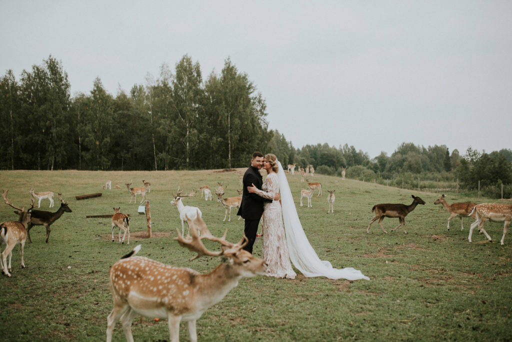 wedding-1068